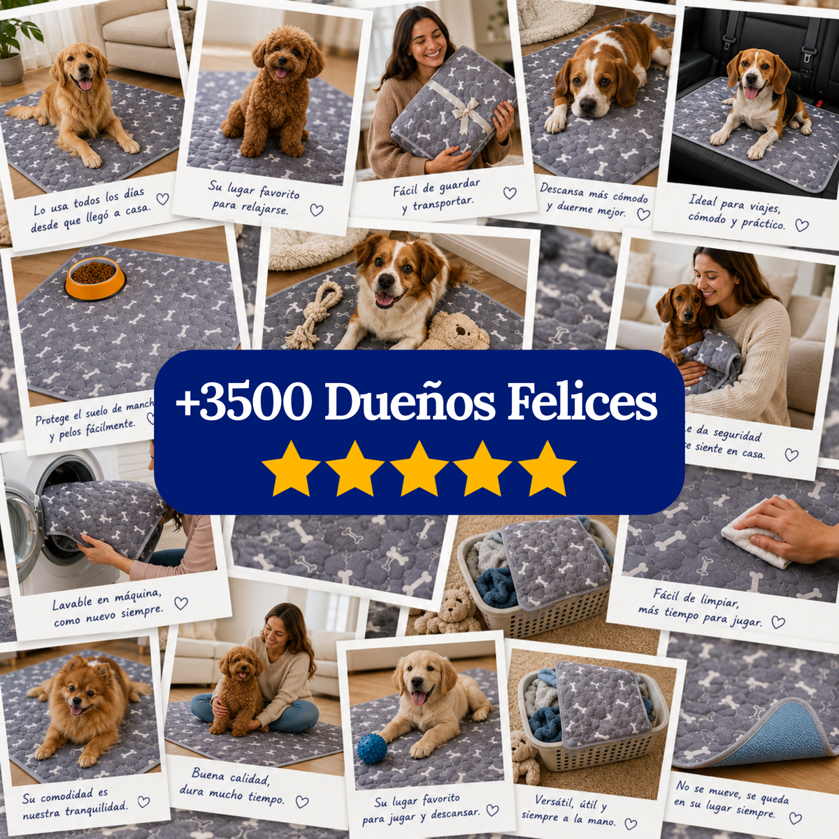 PawDry™ — Empapador Reutilizable para Perros