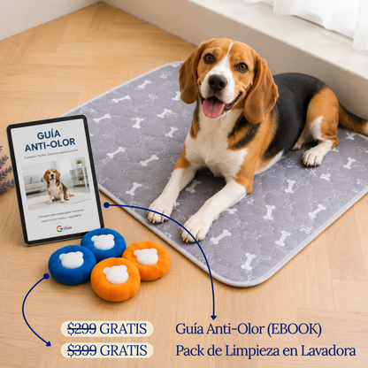 PawDry™ — Empapador Reutilizable para Perros